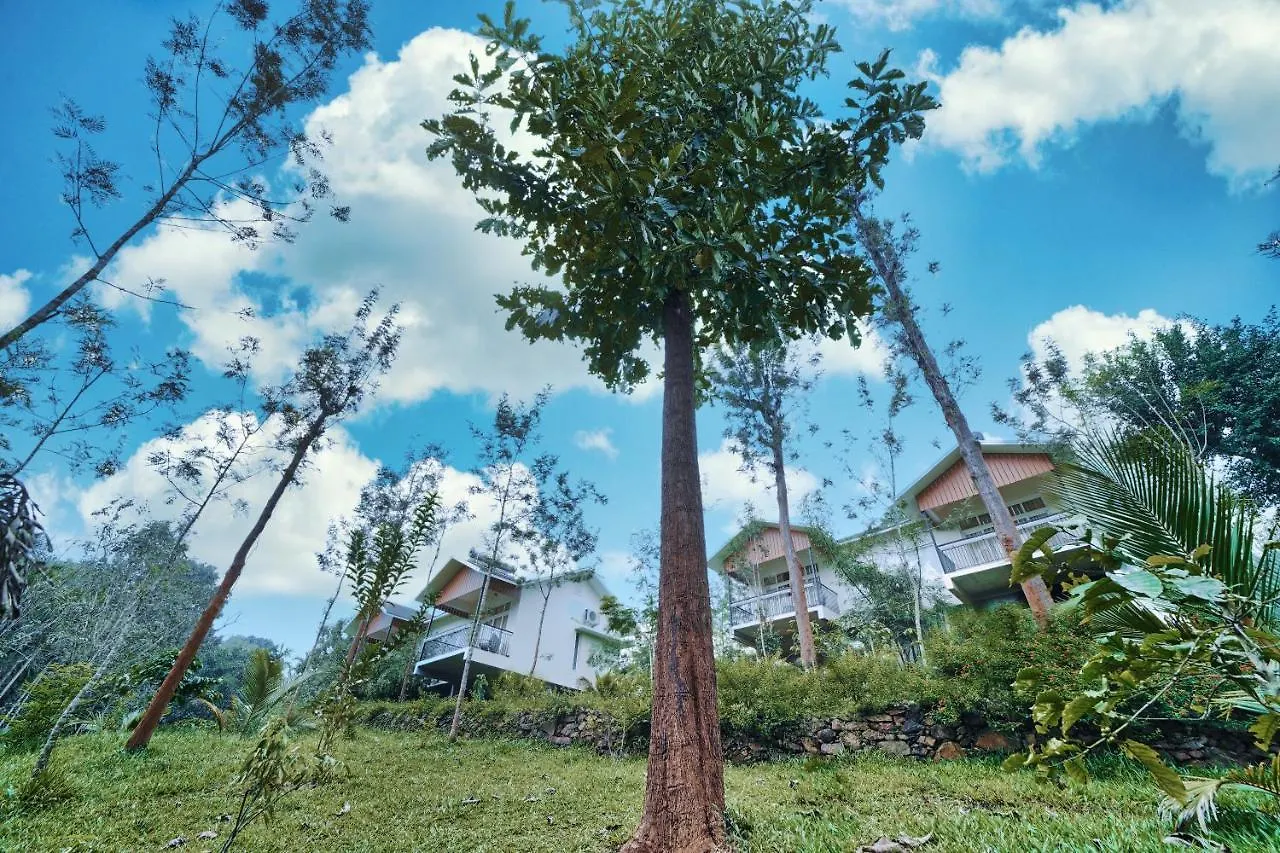 Jungle Bay Resorts & Spa Wayanad